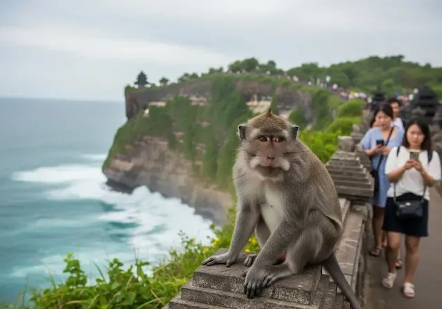 발리 울루와투 절벽 사원 입장료 및 2026 최신 후기-원숭이 주의보와 명당 팁